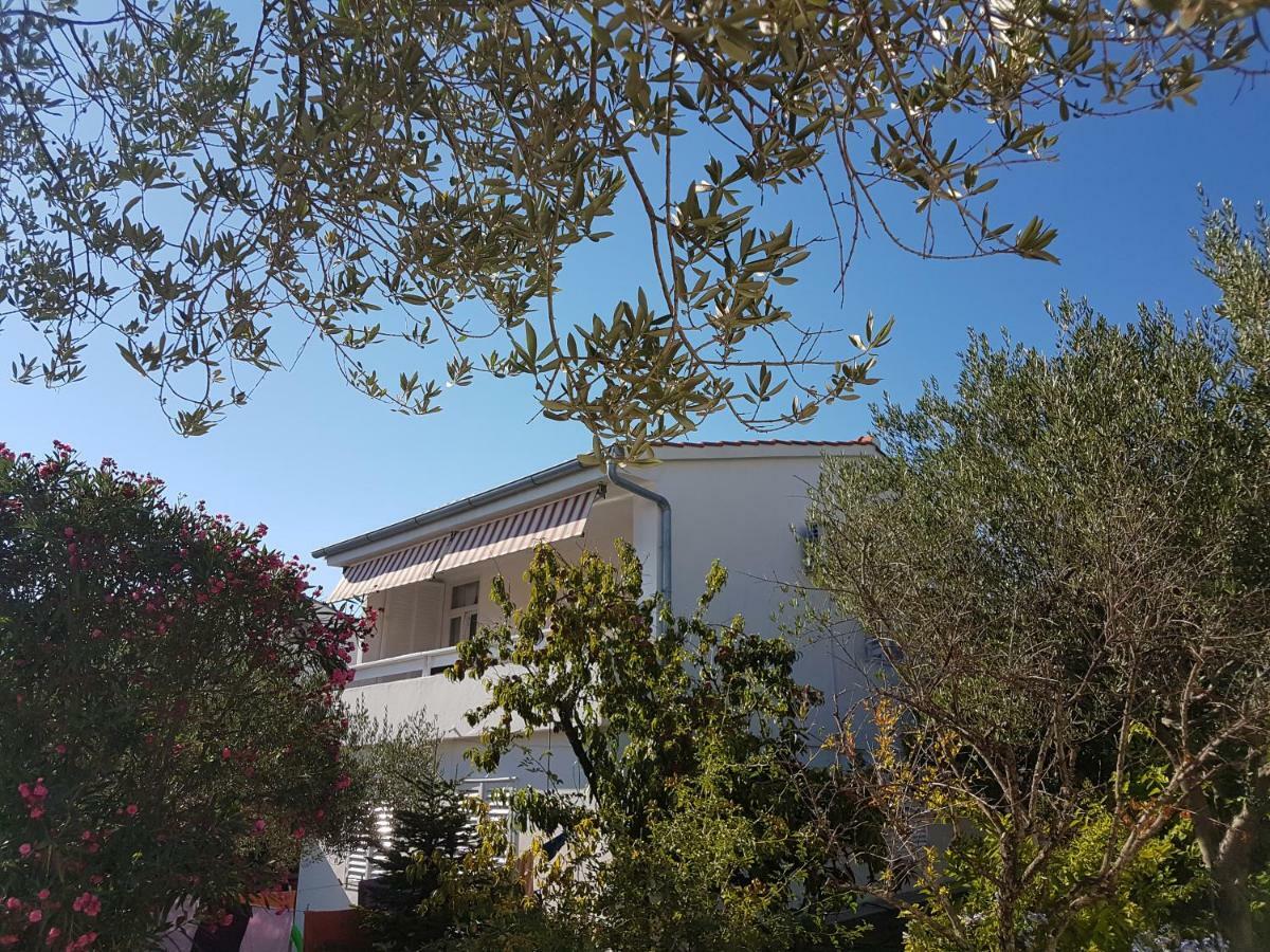 פטרצ'אנה Apartman Roko מראה חיצוני תמונה