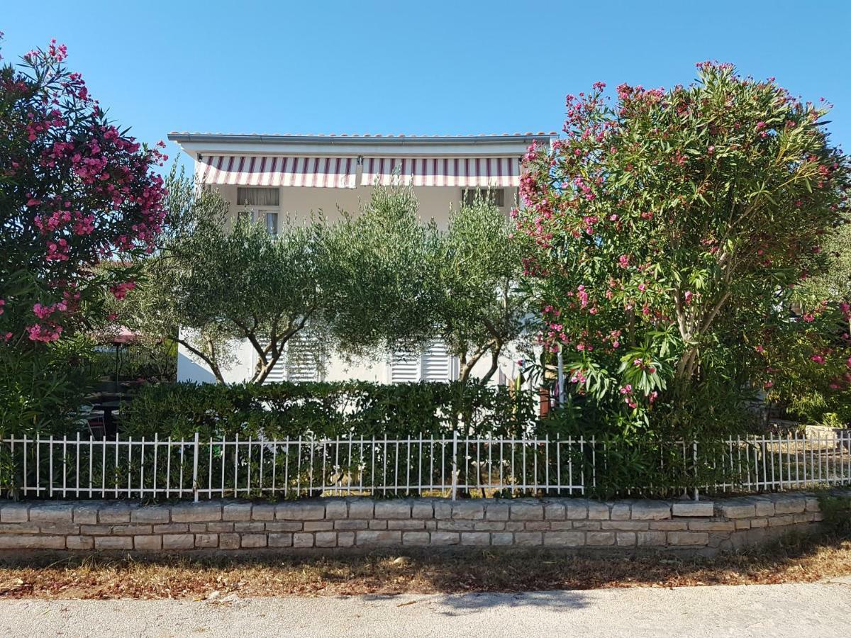 פטרצ'אנה Apartman Roko מראה חיצוני תמונה